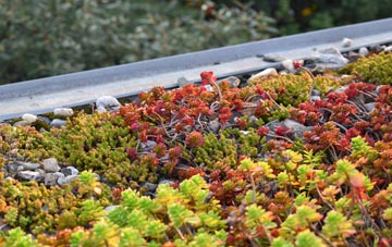the cost of Ranfurly green roof installation