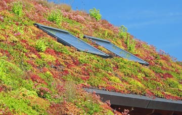 Ranfurly living roof systems