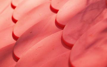 Ranfurly plastic roof costs