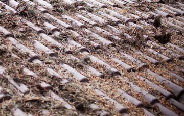 Ranfurly roof cleaning companies