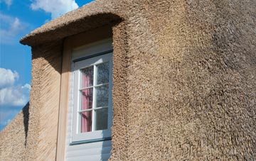 Ranfurly thatch roof disadvantages