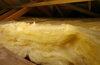 Ranfurly pitch roof insulation