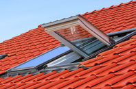Ranfurly roof window