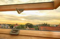 rated Ranfurly roof window companies